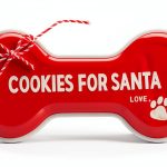 Mud Pie Pet Cookies for Santa Christmas Plate Stoneware-0