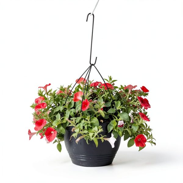 CMYK Heavy Duty S Hook Metal Garden Hanging Tool-2