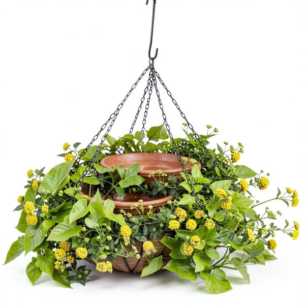 CMYK Heavy Duty S Hook Metal Garden Hanging Tool-1